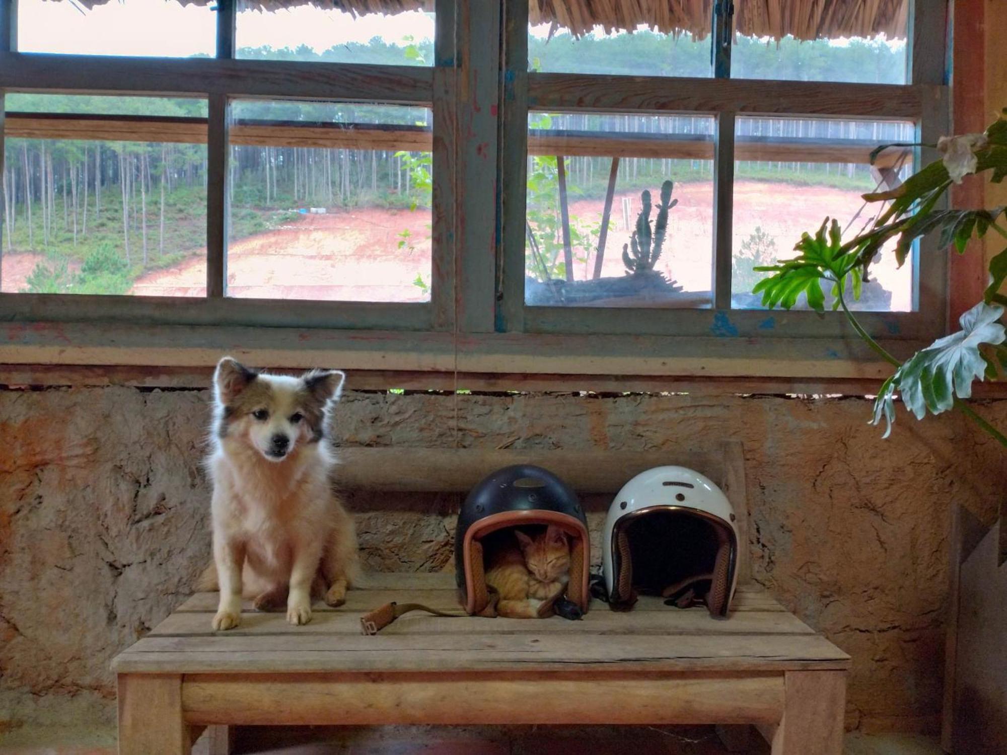 Vuon Nha Cui Homestay Da Lat Buitenkant foto
