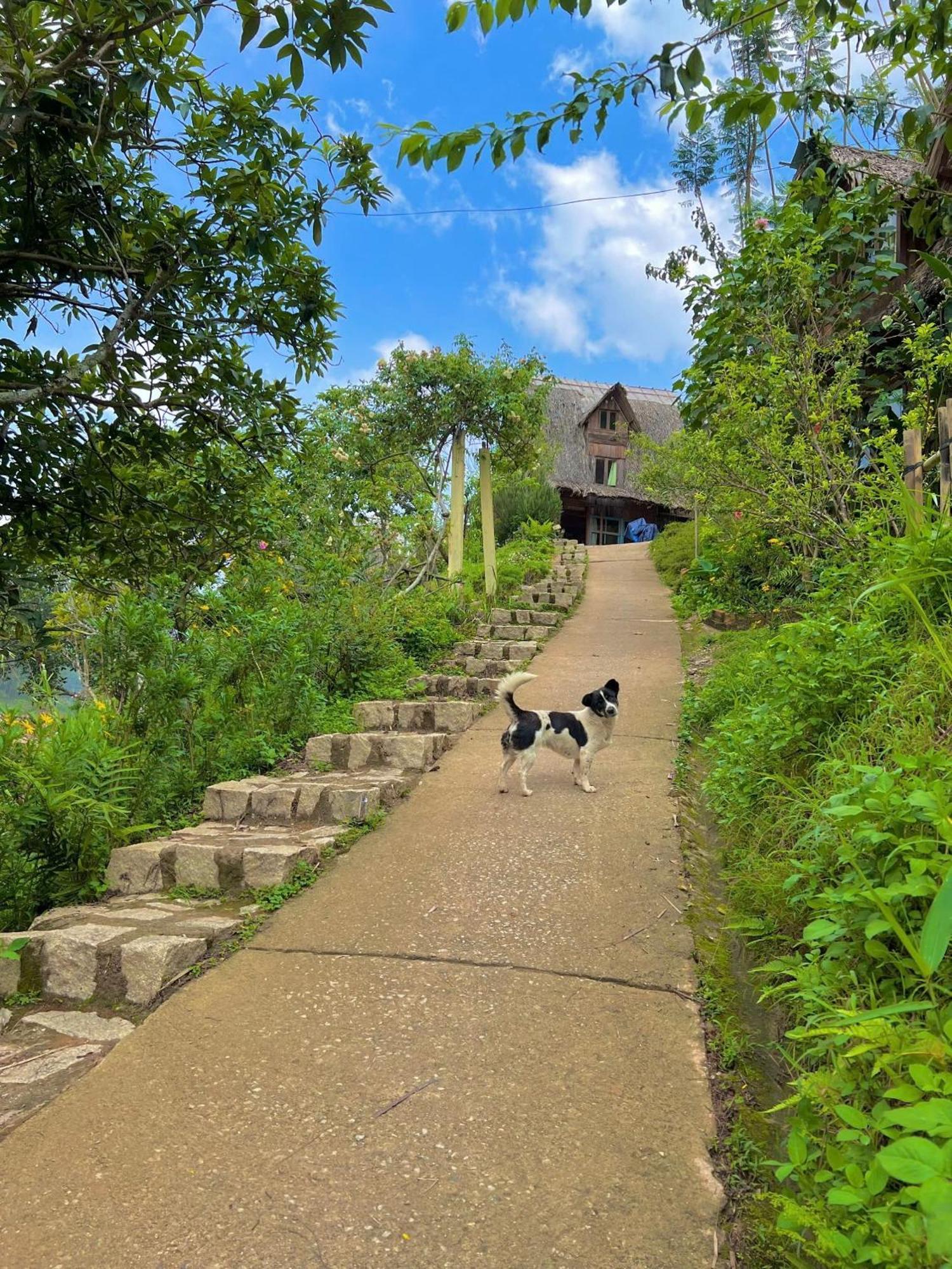 Vuon Nha Cui Homestay Da Lat Buitenkant foto