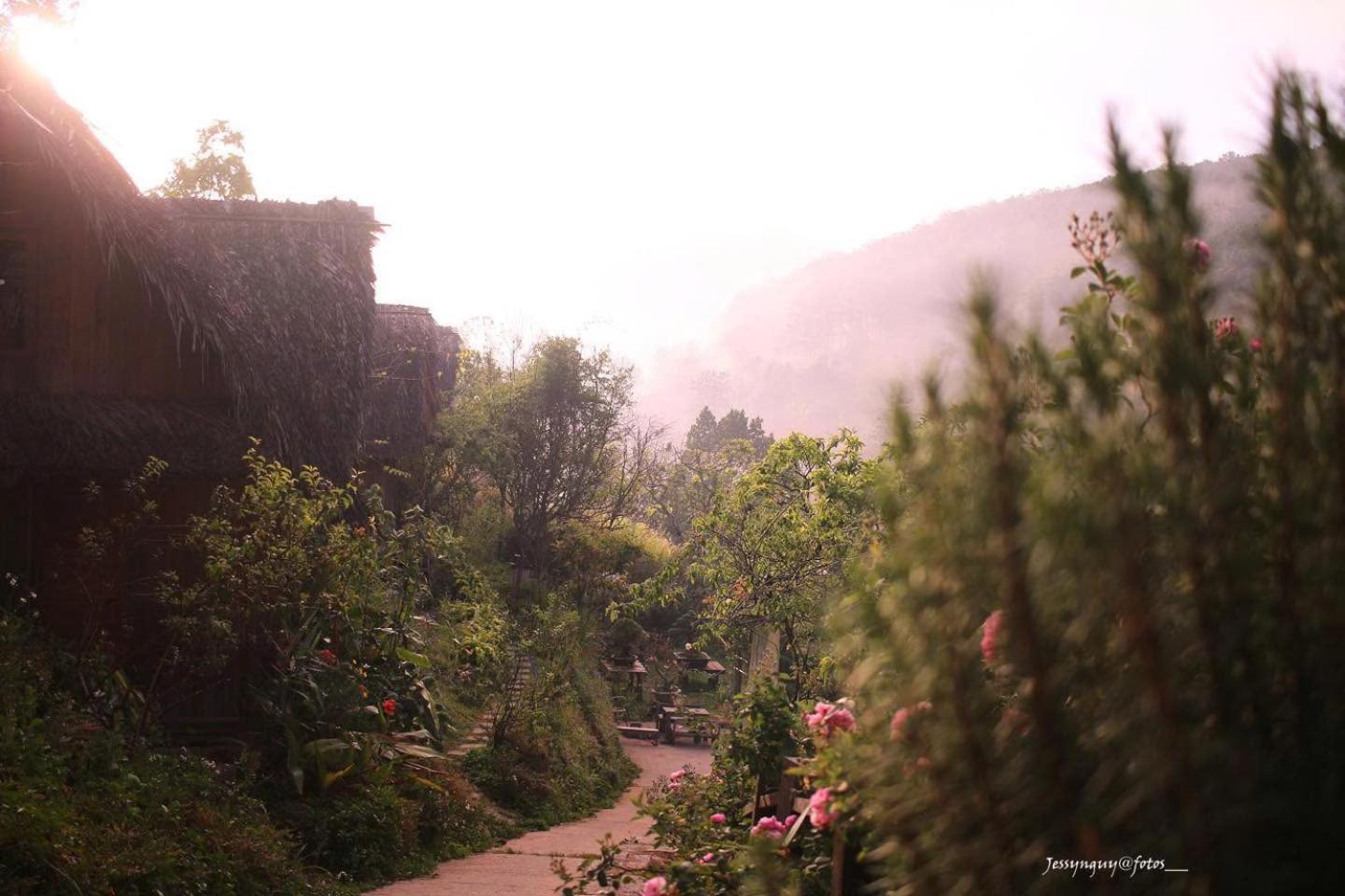 Vuon Nha Cui Homestay Da Lat Buitenkant foto